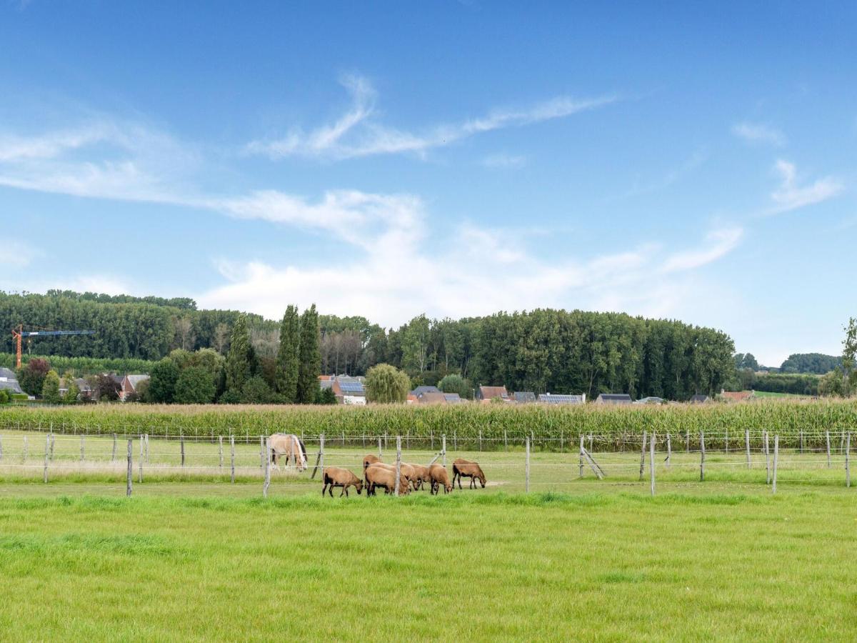 Stunning Holiday Home In Oombergen With Terrace And Garden Zottegem ภายนอก รูปภาพ